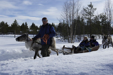Sie unternehmen eine gemütliche Rentierschlittenfahrt