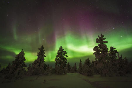 ... und begeben sich auf Nordlichtsuche