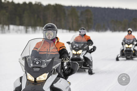  30 km durch Lapplands weiße Schneelandschaft (c) Harriniva