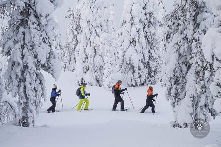 Schneeschuhwanderung durch tief verschneite Wälder
