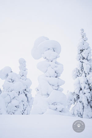 Ausblicke bei der Schneeschuhwanderung 
