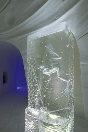 Underwater 2024-2025 (c) Tomi Kurtakko