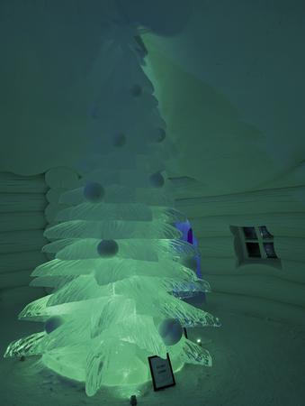 Pure celebration 2025-2026