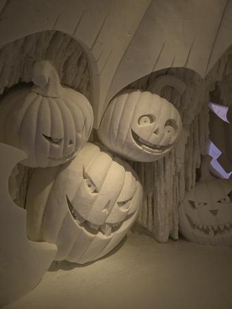 Pure celebration 2025-2026