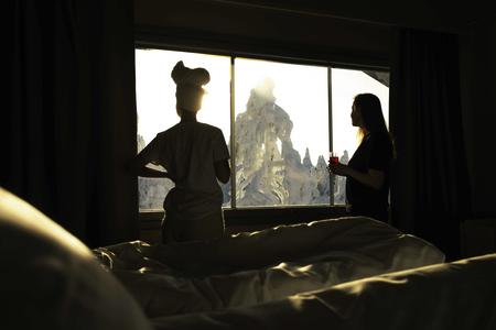 Aussicht auf den verschneiten Wintewald