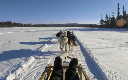 Genießen Sie die Winterlandschaft, die an Ihnen vorbeizieht