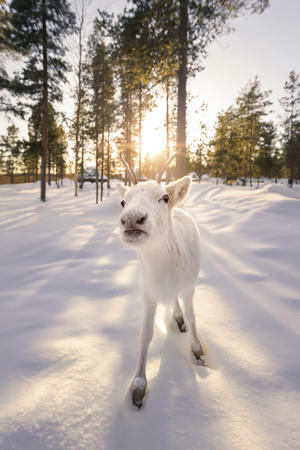 Neugieriges Kennenlernen