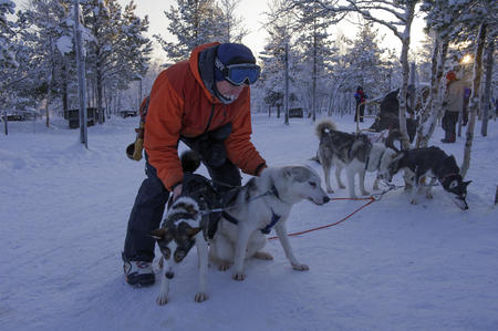 In Hetta treffen Sie auf Huskies
