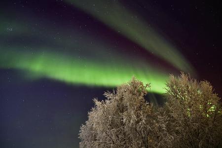 Polarlichter über dem Ylläshumina