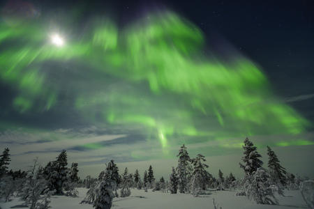 Polarlicht-Traum