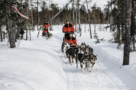 Huskyschlitten