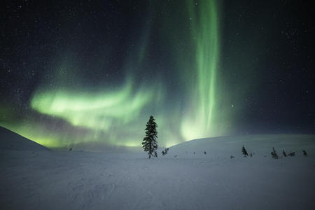  Nordlichter über der verschneiten Landschaft Lapplands