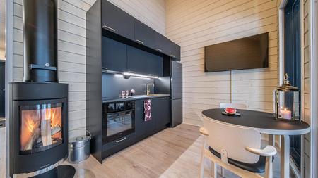 Wohnbereich mit Kamin im modernen Ferienhaus-Apartment (37 m²) mit 1 Schlafzimmer