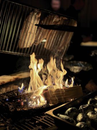 Offenes Feuer in der lappischen Grillhütte