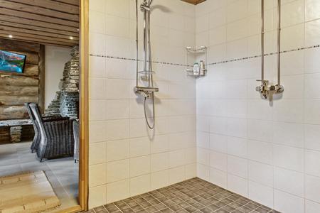 Duschbereich im großen Blockbohlen-Ferienhaus 