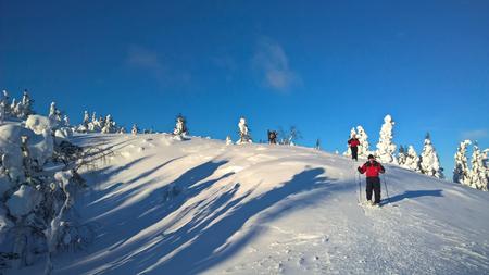 Schneeschuhwandern im Nationalpark Pyhä-Luosto