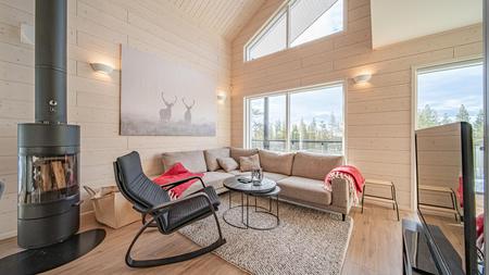 Wohnbereich mit Kamin in der moderenen Doppelhaushälfte (102m²) mit 2-3 Schlafzimmern