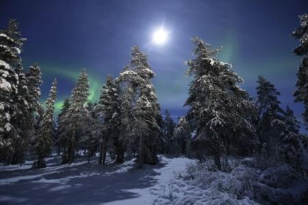 Hotel Herkko Landschaft
