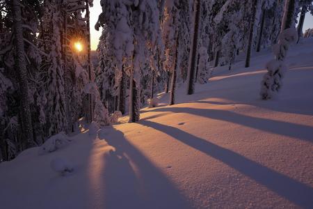 Hotel Herkko Winterliche Impressionen