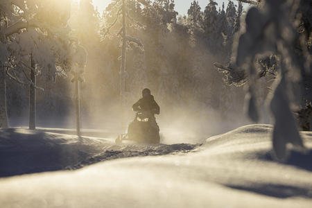 Mit dem Motorschlitten durch den Winterwald