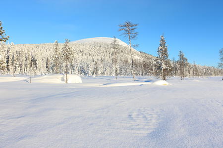 Naturspaziergang mit Aussicht auf den Fjell (c) Anja Degiampietro