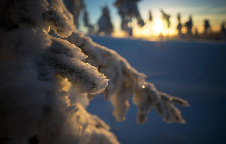 Gigantische Abenteuer: ein finnisches Wintermärchen