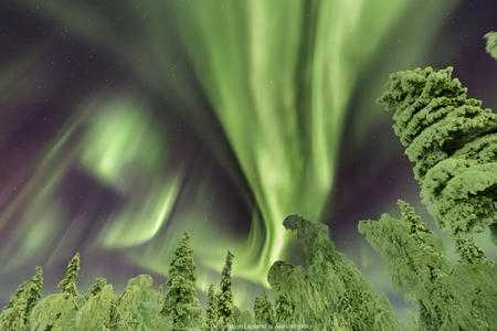 Das Polarlicht taucht die Landschaft in Grüntöne