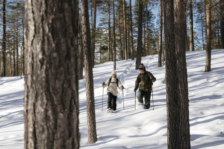 Stapfen Sie auf Schneeschuhen durch den tiefen Schnee