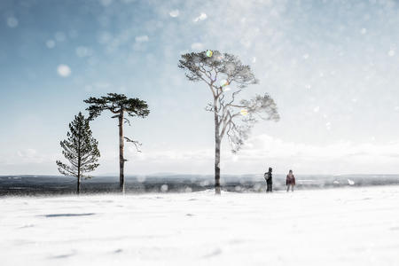 Auf Schneeschuhen und unter strahlend blauem Himmel durch die weiße Landschaft