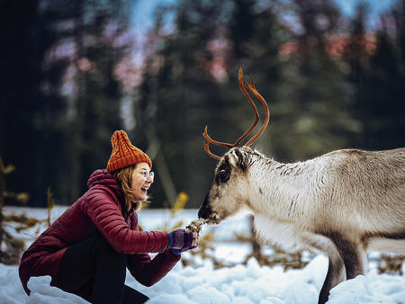 Füttern Sie die Rentiere selbst!