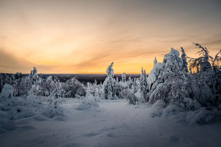 Abendliche Stimmung in verschneiter Landschaft in Iso-Syöte (c) viel-unterwegs.de