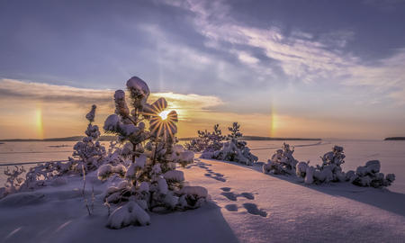 Winterliche Idylle am Pielinen-See (c) Asko Kuittinen Visit Finland