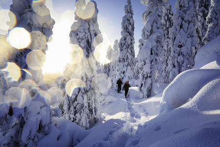 Wanderung durch den märchenhaften Winterwald (c) Visit Karelia Harri Tarvainen