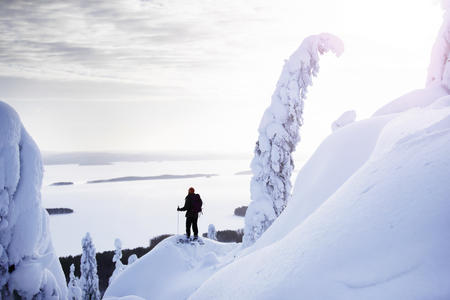 Schneeschuhwanderung im Koli Nationalpark (c) Kolin Matkailu Oy