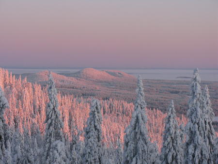 Der Koli Nationalpark bei Sonnenuntergang (c) Kolin Matkailu Oy