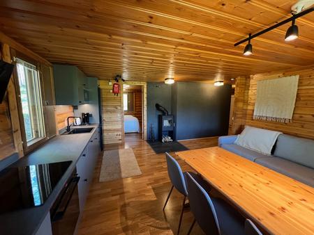 Offene Wohnküche mit großem Esstisch, Blockhaushälfte 