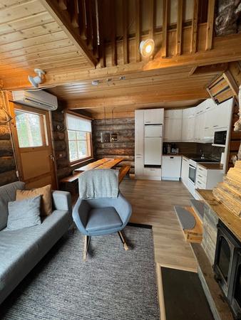 Wohnbereich mit offener Küche und Kamin, Blockbohlen-Apartment