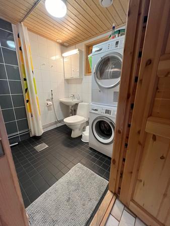 Duschbad mit WC, Blockbohlen-Apartment