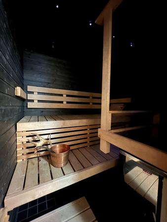 Sauna, Blockbohlen-Apartment