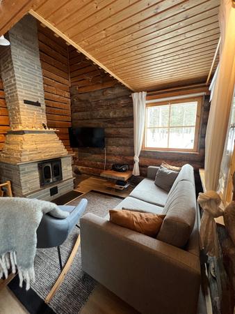 Wohnbereich mit Sofa und Kamin, Blockbohlen-Apartment