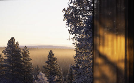 Ausblick auf den Winterwald