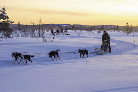 Mit Huskys durch die polare Winterlandschaft, (c) Klaus-Peter Kappest 