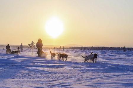Im Schneedunst und bei tief stehender Sonne mit den Huskys unterwegs (c) Klaus-Peter Kappest