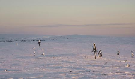 Ein Moment wie gemalt, über den Fjells von Laanila