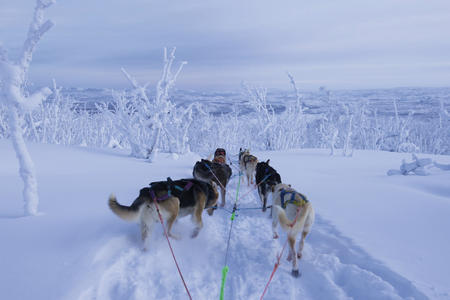 Ihr Team zieht Sie durch die verschneite Landschaft