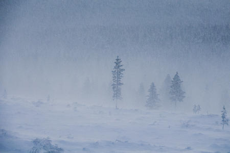 Verschneiter Wintertag auf den Fjells