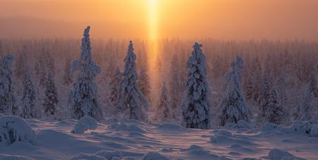 Unweit vom Hotel finden Sie wunderschöne Schneewelten