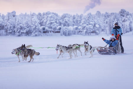 Lapplandzauber intensiv