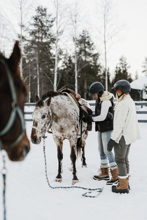 Auf geht es zum Reiten