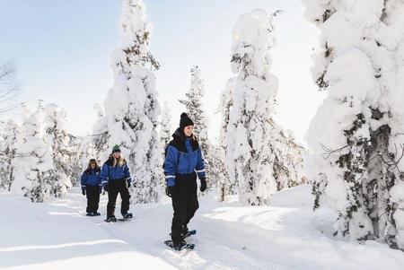 Wandern Sie auf märchenhaften Pfaden durch die unberührte Winterlandschaft